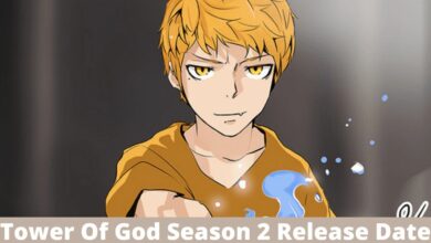 Photo of Tower Of God Season 2 Release Date, Will there be season 2 Tower of God?