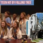 Sumner County teen hit by falling tree (2)