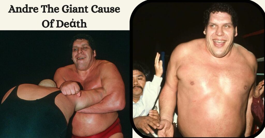 Andre The Giant Cause Of Deἀth