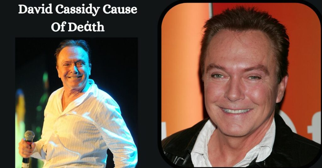 David Cassidy Cause Of Deἀth