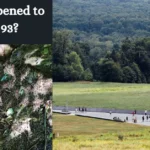 What Happened to Flight 93?